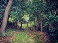 Small torii in sado island , Japan