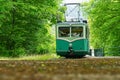 Small tourist green train in forest. Miniature narrow gauge train near big trees.