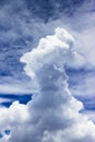 Small Towering Cumulus Clouds on The Sky