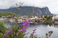 Small Town at Lofoten Islands Royalty Free Stock Photo