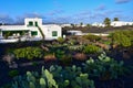 The small town Yaiza in Lanzarote. A typical house with a garden with lots of opuntias and other plants. Canary Islands, Spain