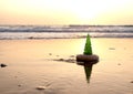 Christmas tree on the beach. Christmas tree on the sea shore.New Year and Christmas celebration on the beach Royalty Free Stock Photo