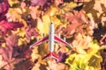 Small toy plane flying above the colorful autumn maple leaves background in the forest. Travel concept. Selective focus. Royalty Free Stock Photo