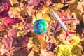 Small toy plane flying around globe Earth on the colorful autumn maple leaves background in the forest. Travel concept.