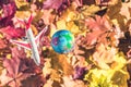 Small toy plane flying around globe Earth on the colorful autumn maple leaves background in the forest. Travel concept.