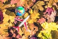 Small toy plane and globe Earth on the colorful autumn maple leaves background in the forest. Travel concept. Selective focus.