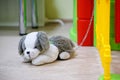 Small toy - a plush dog is chained with a plastic chain to a toy fence. Symbol of sadness and loneliness. The problem of bullying