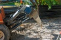 Small tractor is digging in the ground lay water pipe for irrigation system