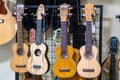 4 small traditional havaiian small acoustic guitars Ukulele hanging on a music store. Royalty Free Stock Photo