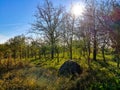 A small traditional hay pile in front of a mixed orchard, with sun shining through branches of fruit trees, in early October Royalty Free Stock Photo