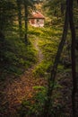 Small trail in the forest leading to a cabin in the wood Royalty Free Stock Photo