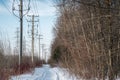 Small trail in a winter forest beside a power line Royalty Free Stock Photo