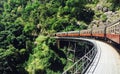 Small trains in the forest