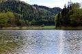 Small tranquil lake / pond next to the German Alpine Road, Bavaria, Germany