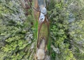 Small, tranquil river surrounded by lush, towering trees in a remote area