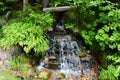 Small Tranquil Stream in Lush Green Forest Royalty Free Stock Photo