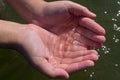 Small transparent jellyfish in ladle of children hands on background of azure sea water with sunlight glows on ripples