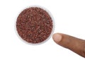 A small tray filled with tiny red Garnet minerals, a finger is pointing to it