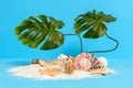 Tiny sandy treasure island with message bottle, seashells, starfish and monstera Royalty Free Stock Photo