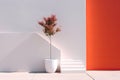 small tree against a white-red wall, Mediterranean theme Modern minimalistic mockup with empty space