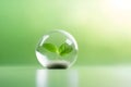 Small tree in a crystal globe on table. Environmental protection renewable energy and new life concept, green business. Small Royalty Free Stock Photo