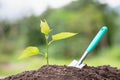 A small tree on the ground on green background, The idea of planting trees to reduce global warming, World Environment Day Royalty Free Stock Photo