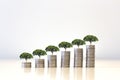 Small tree growing on Money coin stack .Saving money concept. finance sustainable Royalty Free Stock Photo