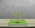 Small tree growing from an open book, Ecological concept Royalty Free Stock Photo