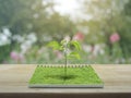 Small tree growing from an open book, Ecological concept Royalty Free Stock Photo