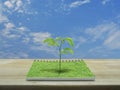 Small tree growing from an open book, Ecological concept Royalty Free Stock Photo