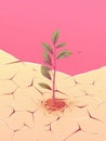 Small tree is growing out of an area that appears to be desert. The tree has only one leaf on it, and its roots are Royalty Free Stock Photo