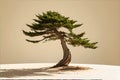 A small tree that is growing out of the sand Royalty Free Stock Photo