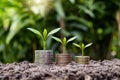 Small tree grows on coins and trees on money grows in soil Royalty Free Stock Photo