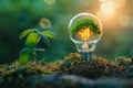 A Small Tree Grows Inside a Light Bulb in a Forest Setting Royalty Free Stock Photo