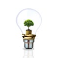 A small tree that grows on a pile of coins in a light bulb on a white background Royalty Free Stock Photo