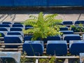 Small tree grows between the seats of the destroyed spectator rostrum in an abandoned stadium