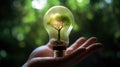 A small tree planted in an energy-saving light bulb, holding by a hand, green energy. Generative AI Royalty Free Stock Photo