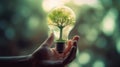 A small tree planted in an energy-saving light bulb, holding by a hand, green energy. Generative AI Royalty Free Stock Photo