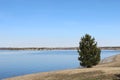 A small tree on the side of a lake under the blue sky Royalty Free Stock Photo