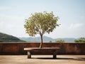 a small tree sitting on a bench in front of a mountain Royalty Free Stock Photo