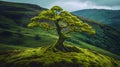 A small tree stands top a hill covered in vibrant green moss. A tree branches reach out against the backdrop of the moss landscape