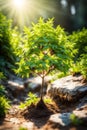 A small tree at sunrise, vertical composition