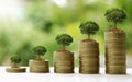 Small trees on coins, different levels and natural light.