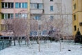 Small trees in front of building Royalty Free Stock Photo