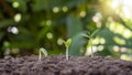 Small trees growing on the ground and blurred green background Royalty Free Stock Photo