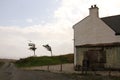 Small windswept trees in a garden of a house near the coast, Elgol, Isle of Skye, Scotland UK.