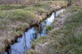 A small trench in the forest. River flowing through the forest