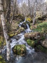 A small tributary to the Tristaina river Royalty Free Stock Photo