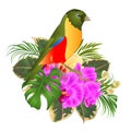 Small tropical bird with tropical flowers floral arrangement, with beautiful orchid and hibiscus,palm,philodendron and ficus vin Royalty Free Stock Photo