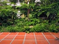 Small tropical urban garden Royalty Free Stock Photo